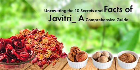 what is javitri in english|The Comprehensive Guide to Javitri: A Culinary Gem.